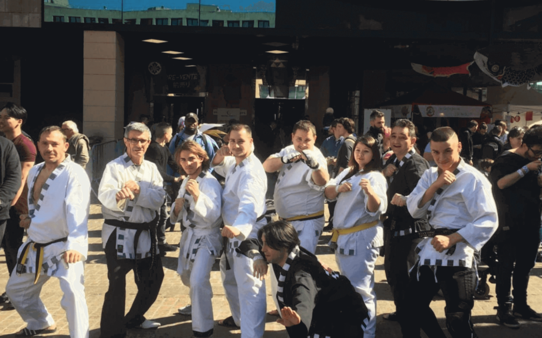 TAEKWONKIDO TEAM TOULON